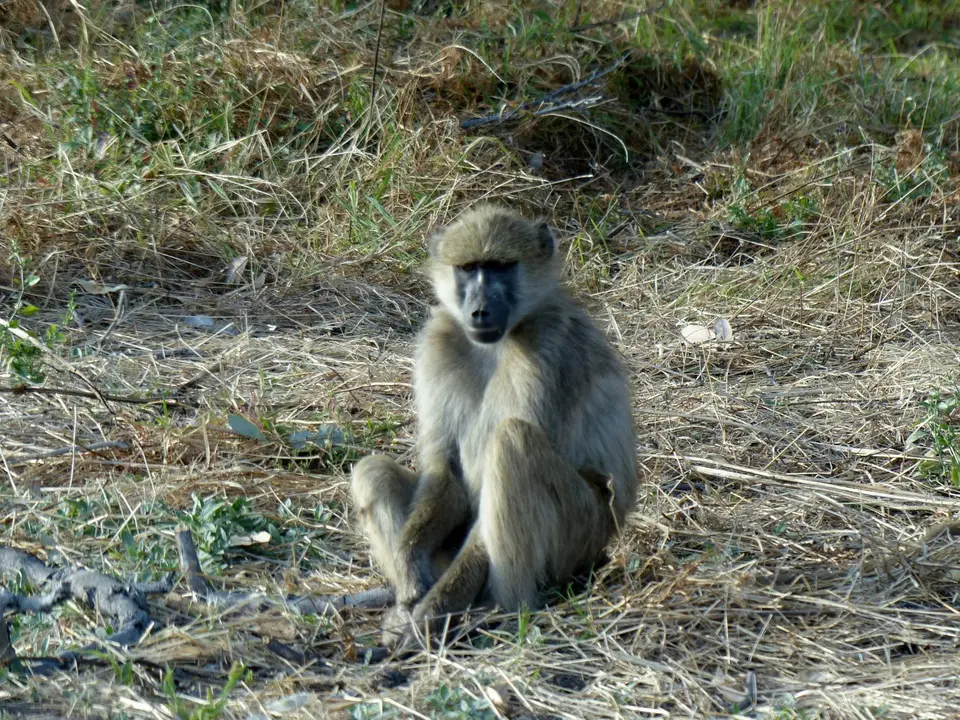 P1280059.JPG