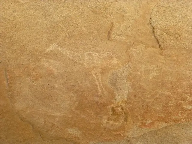 h664f121.JPG