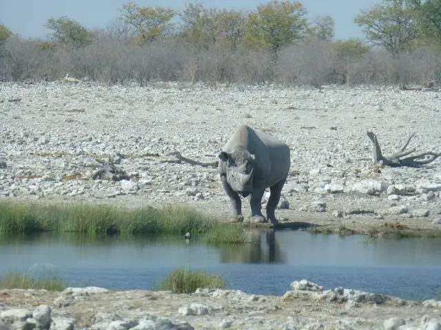 h9621604.JPG