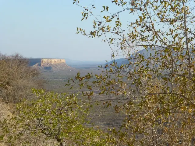 hb625631.JPG