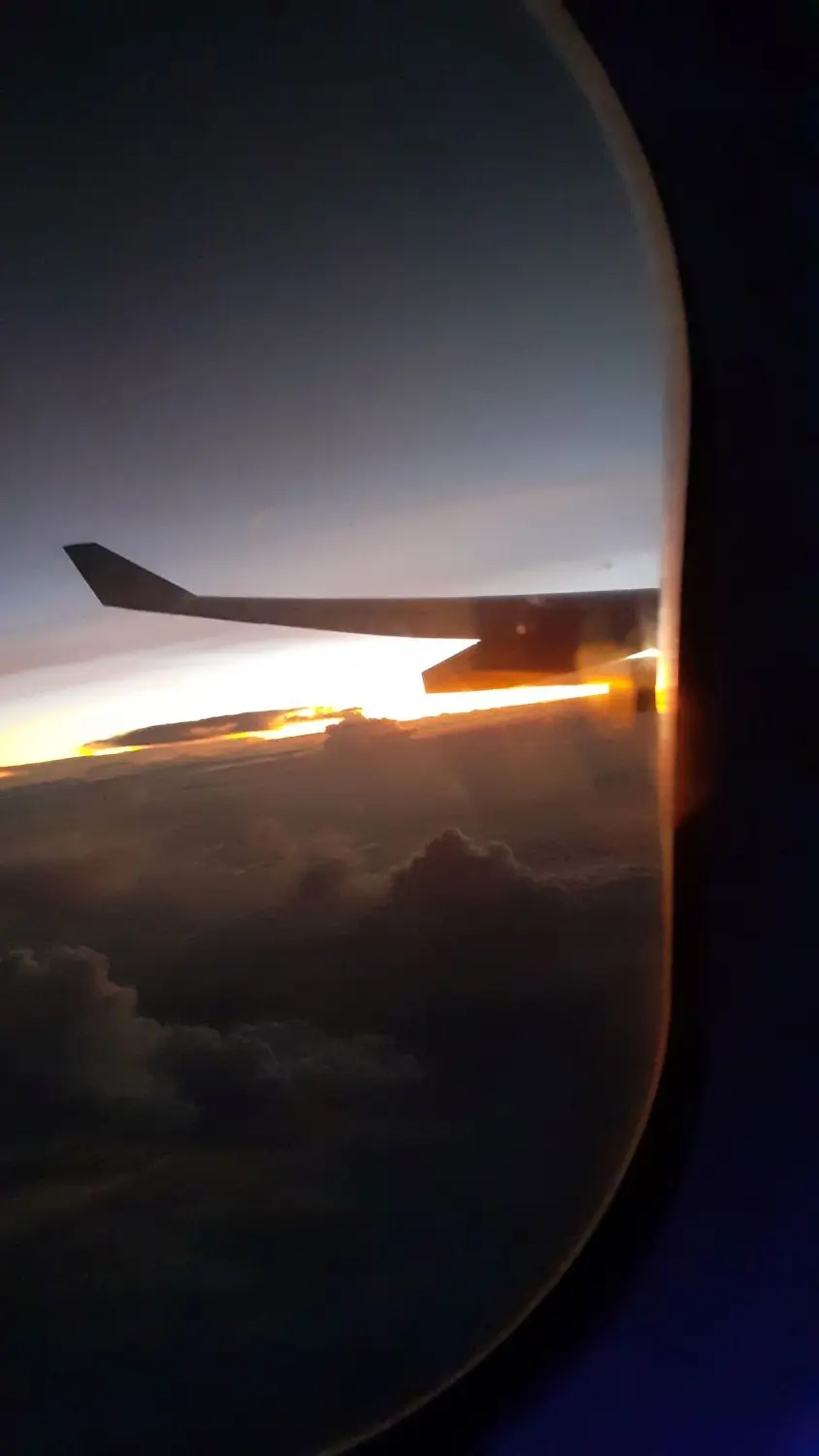 20241124_052611.jpg