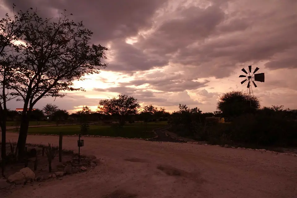 iNAM202501_0499.JPG
