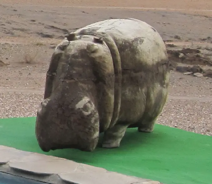 Nilpferd2-Rätsel.png