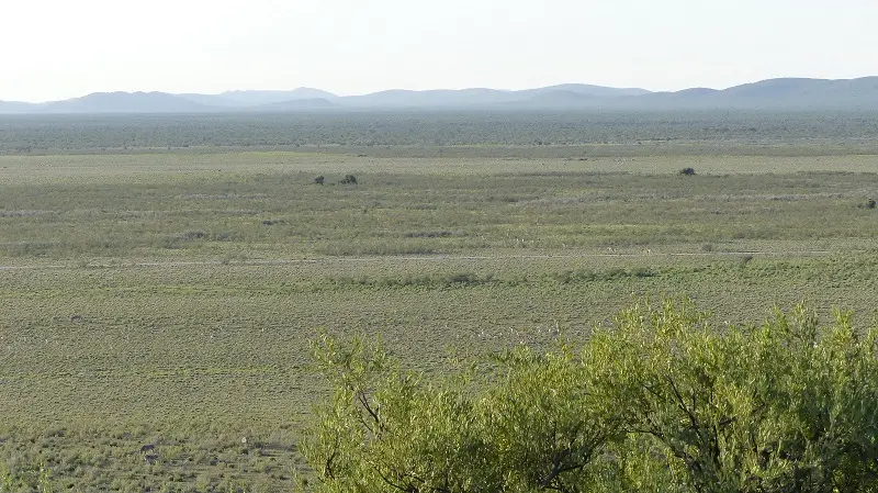 P1040112.jpg