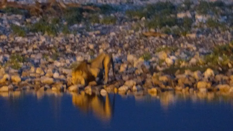 h0272f6a.jpg