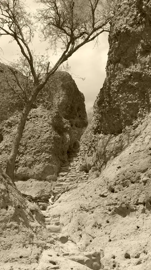 h03f224e.jpg