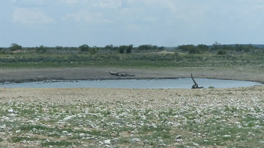 h6320024.jpg