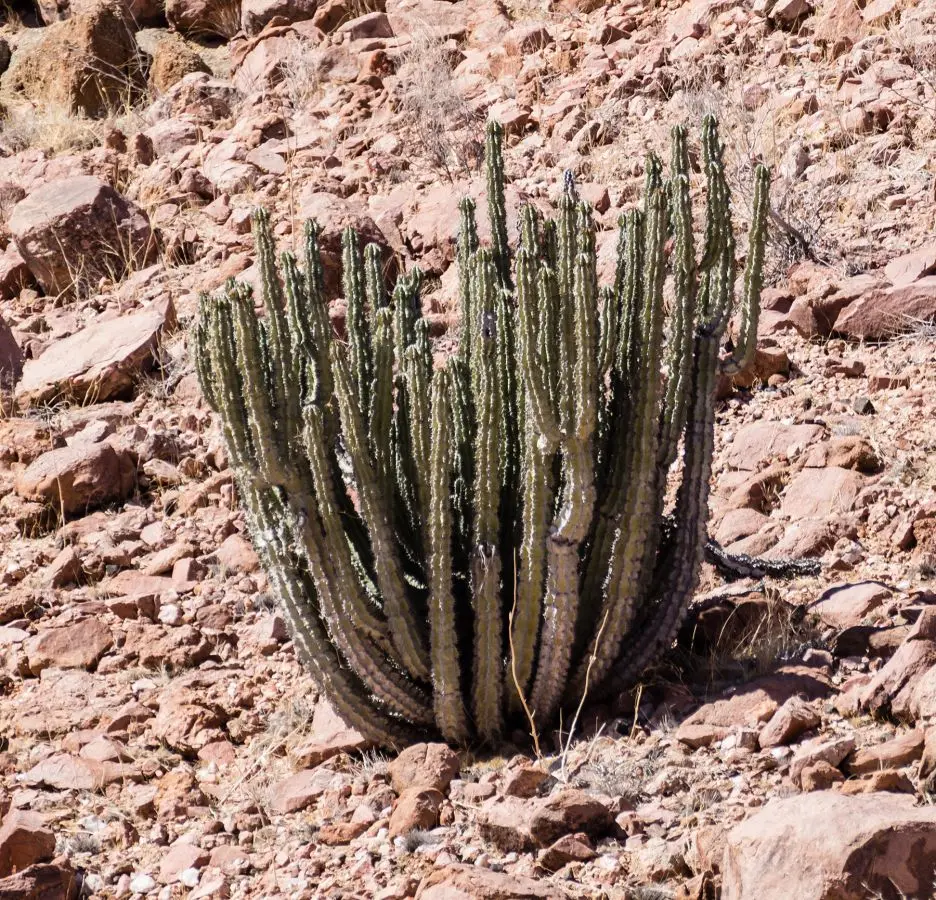 h4718502.jpg