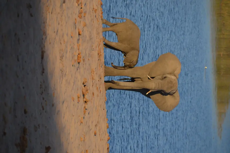 105.JPG