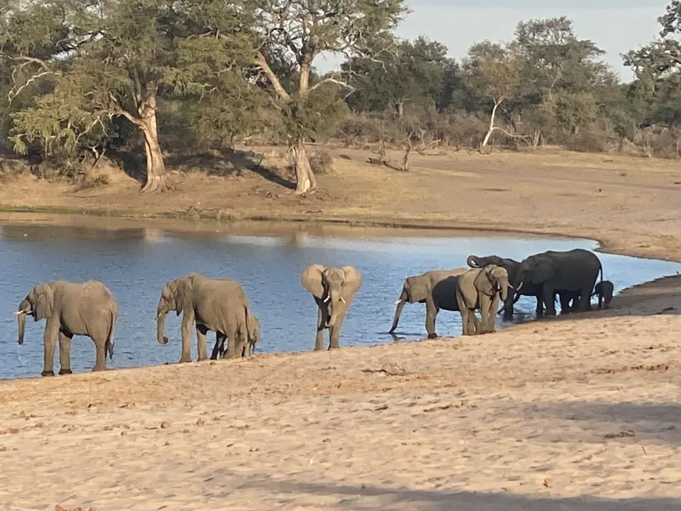 109a.JPEG
