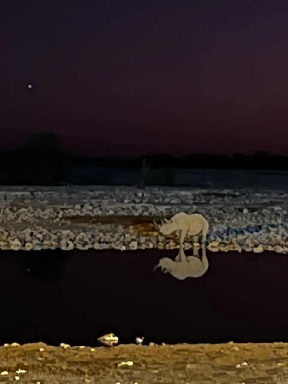 205.JPEG