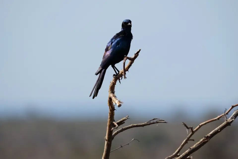 DSCF2317.JPG