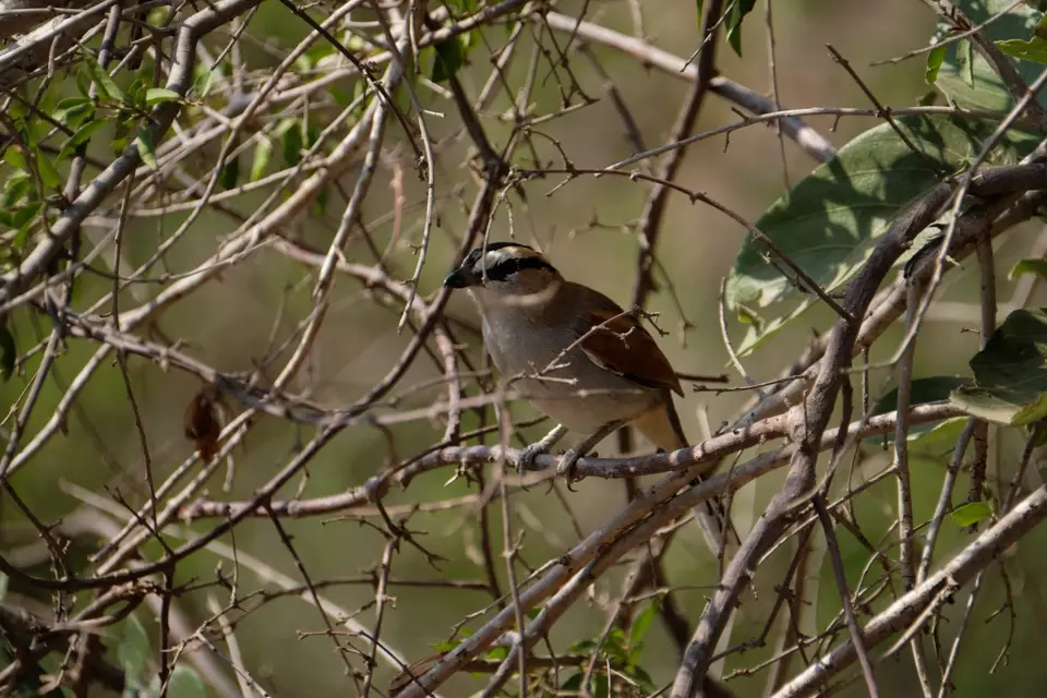 DSCF2364.JPG
