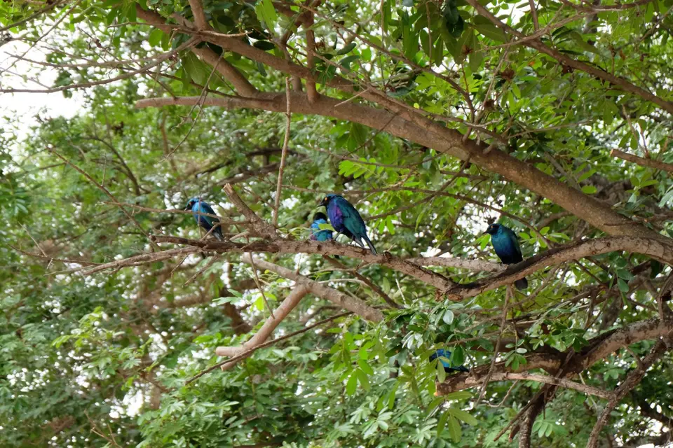 DSCF2731.JPG
