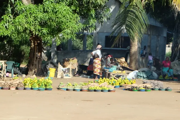 DSCF2876.JPG