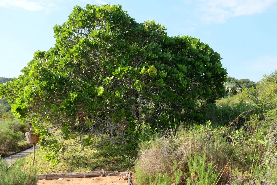 DSCF2890.JPG