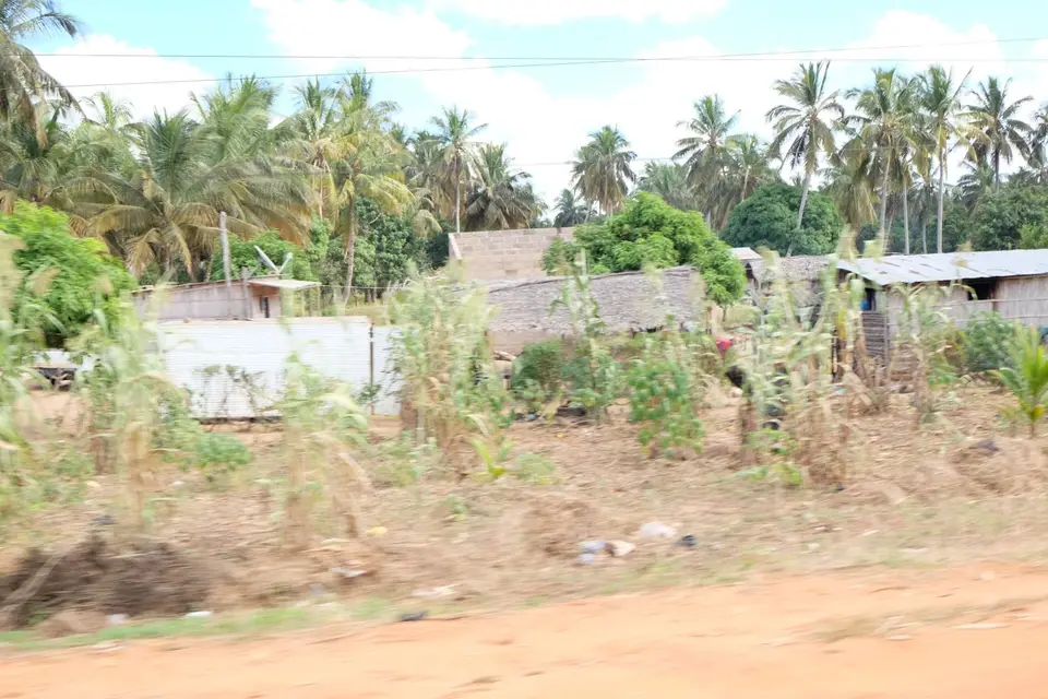 DSCF2974.JPG