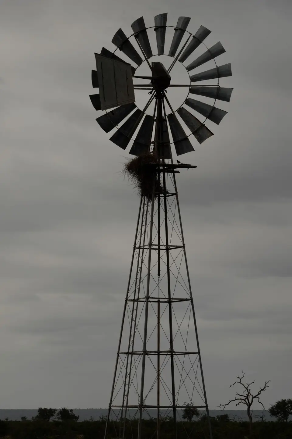 DSCF3057.JPG