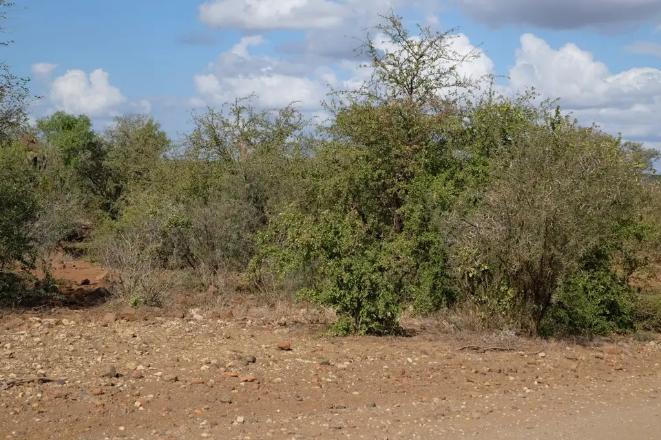 DSCF3142.JPG