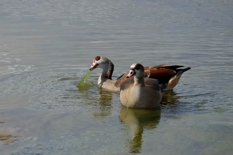DSCF3160.JPG