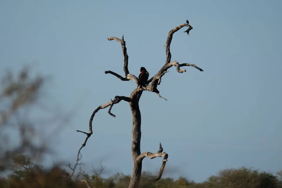 DSCF3215.JPG