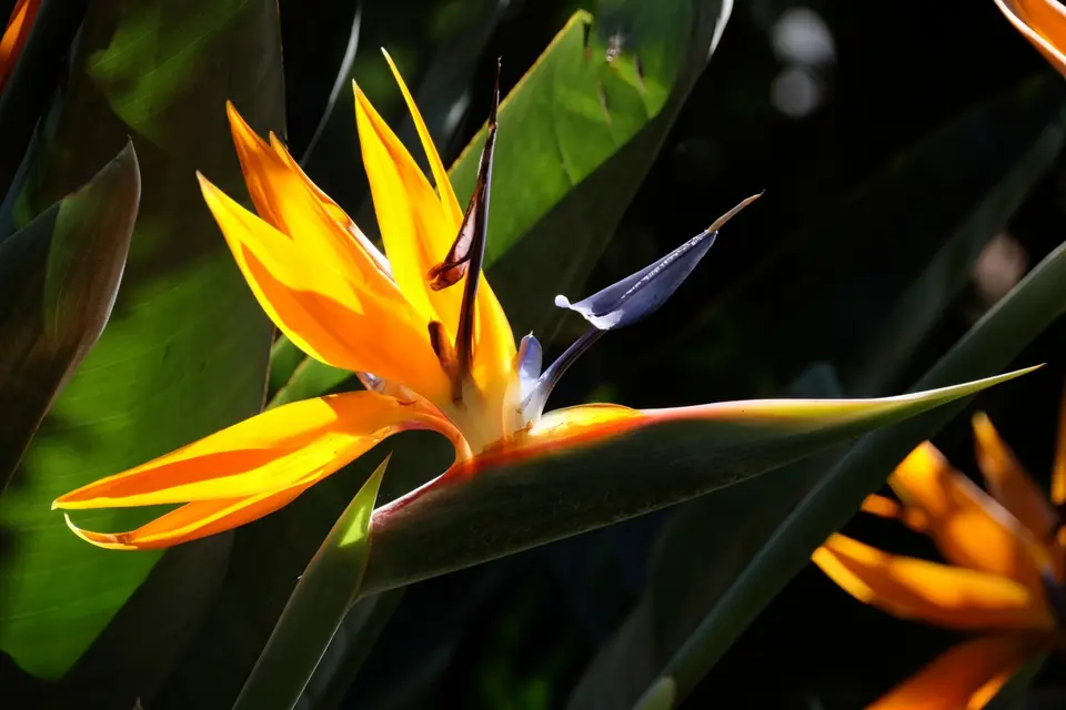 DSCF3448.JPG