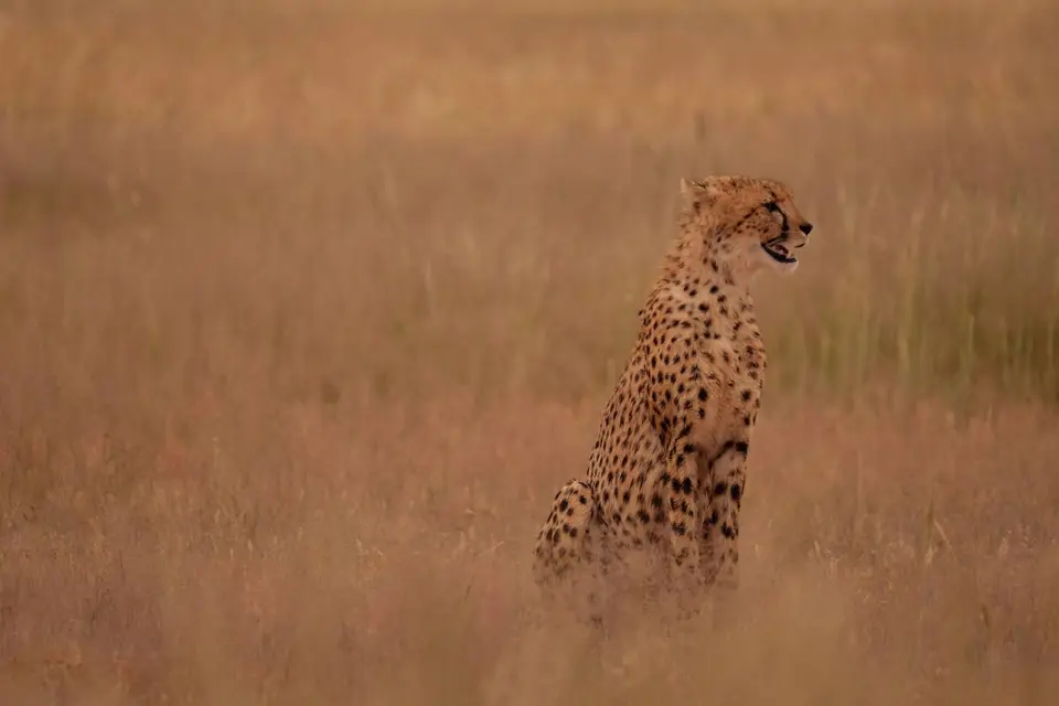 DSCF4360.JPG