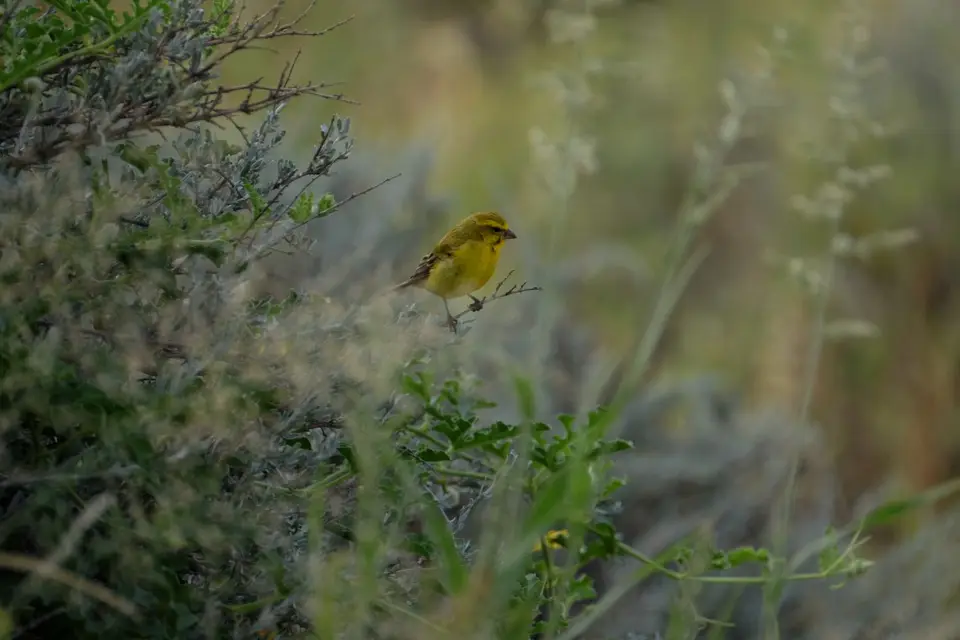 DSCF4448.JPG