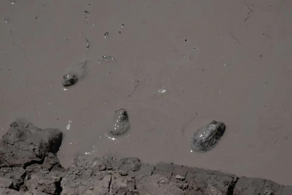 DSCF5116.JPG