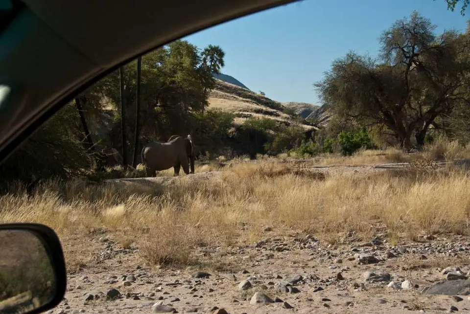 154Namibia2011_07_20.jpg