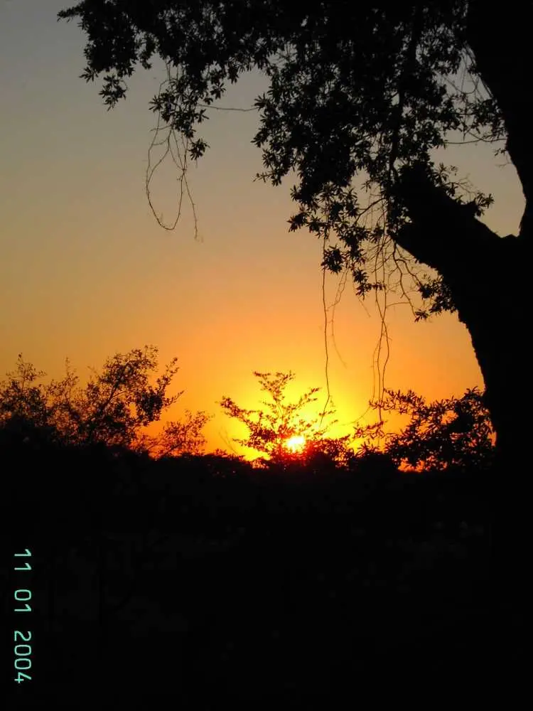 PICT0580.JPG