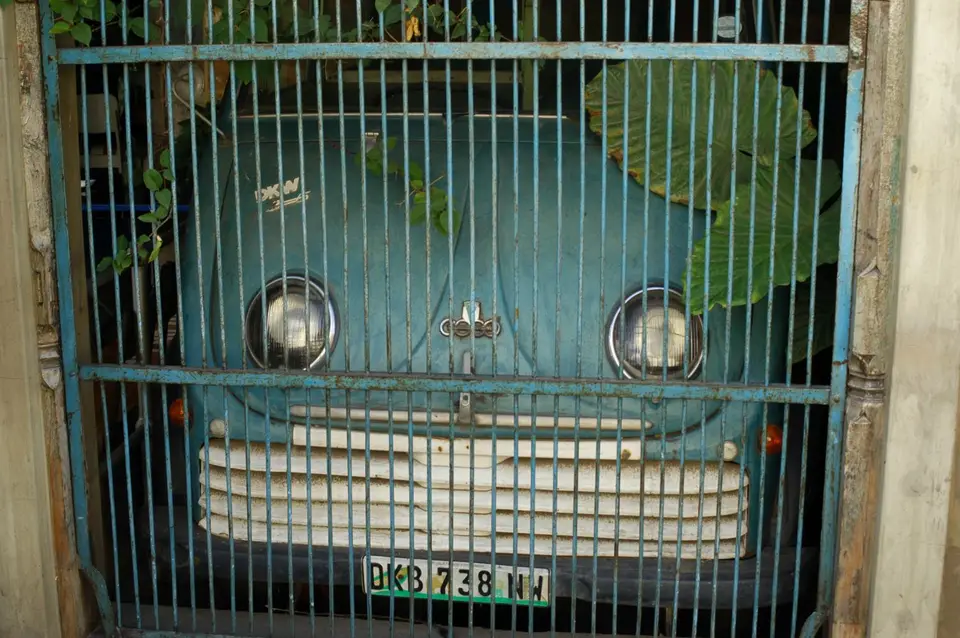 DSC_2611.JPG