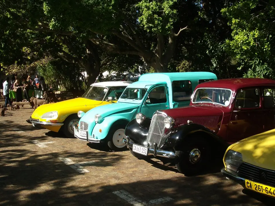 IMGP2625.JPG