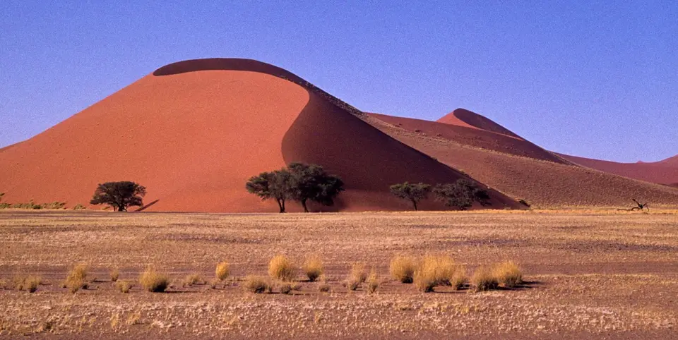 Sossusungespurt1.jpg