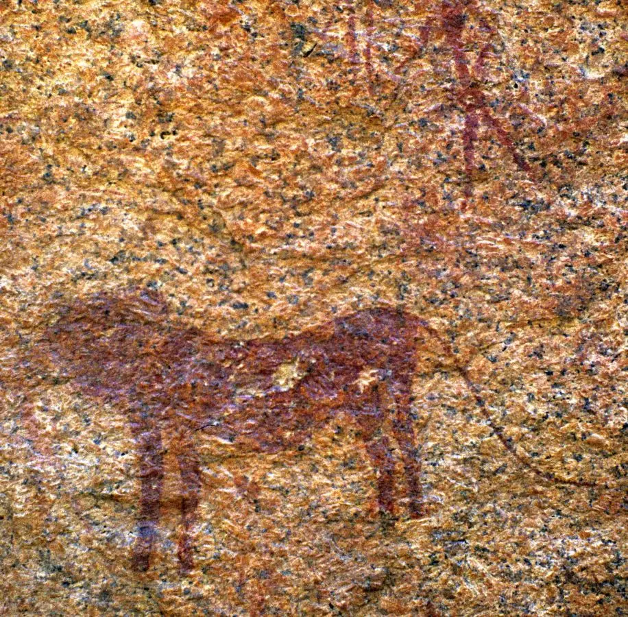 h05f7672.jpg