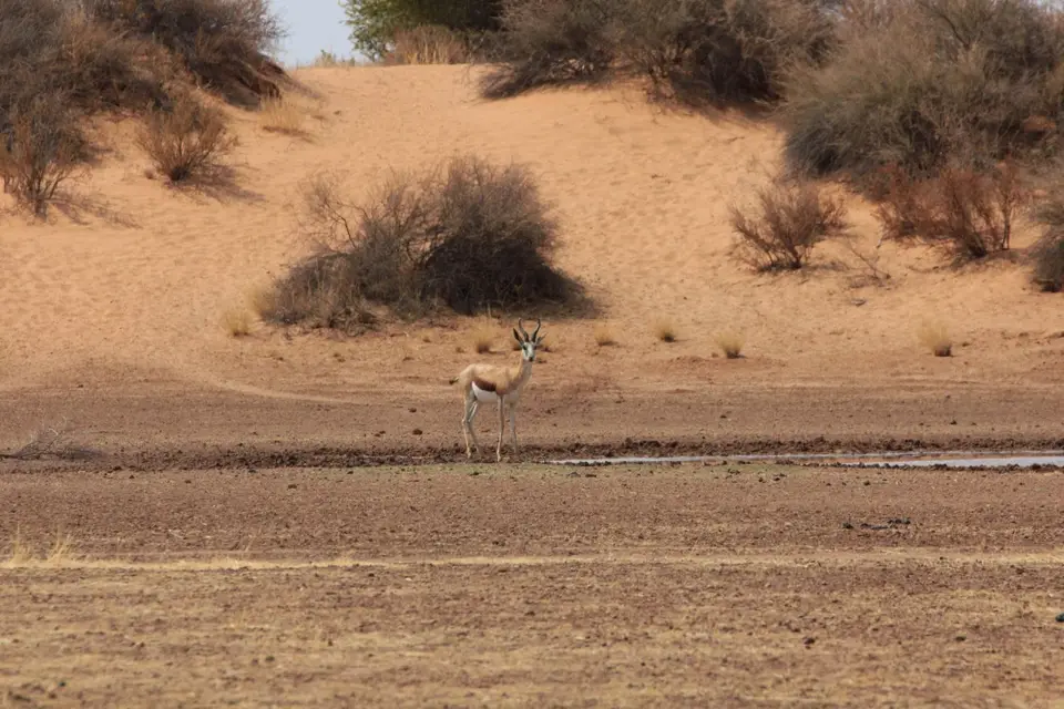 003_2016-Namibia-8895.jpg