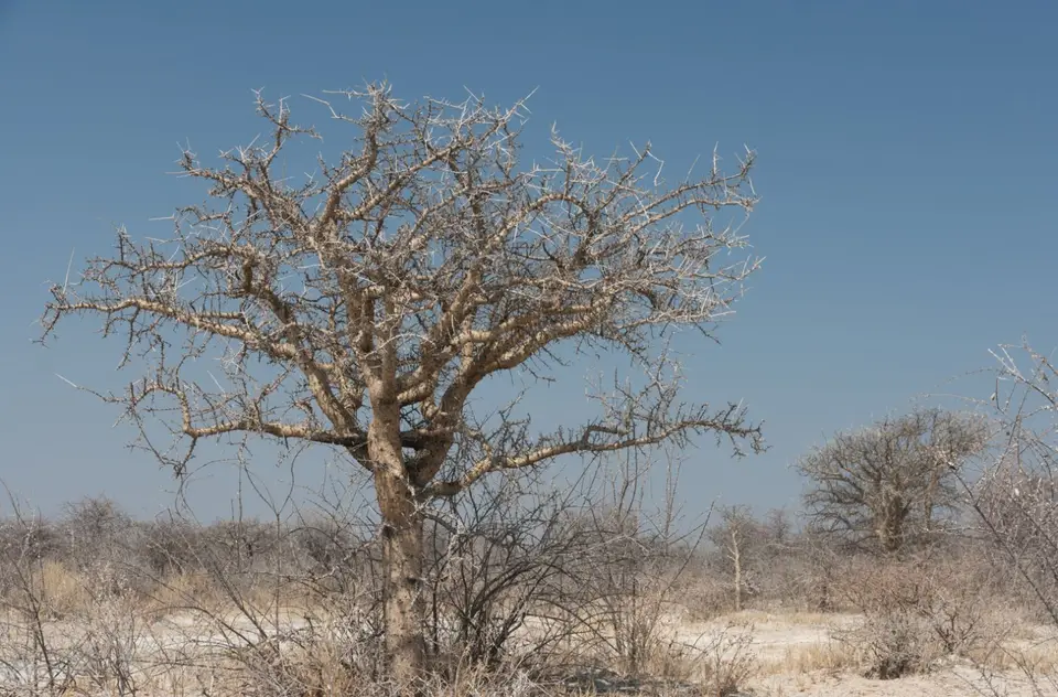 2016-Namibia(594von249).jpg