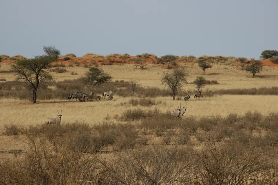 2016-Namibia-0029.jpg