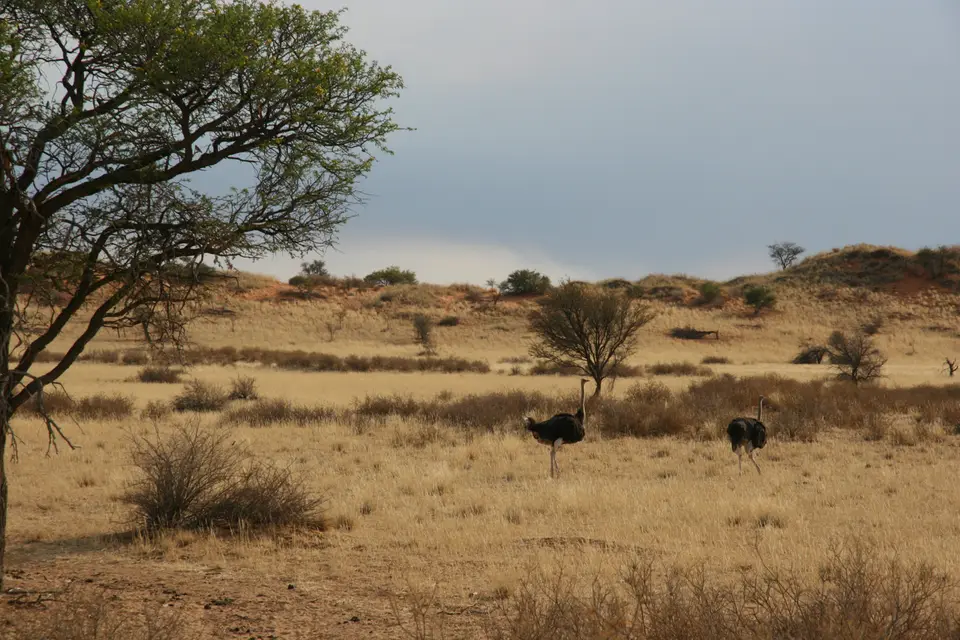 2016-Namibia-0031.jpg