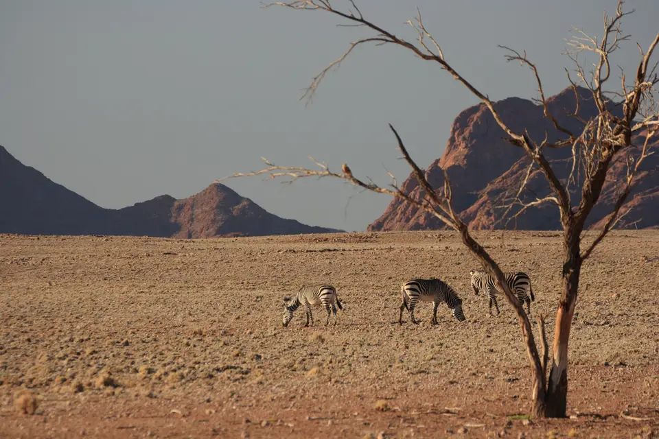 2016-Namibia-0182.jpg