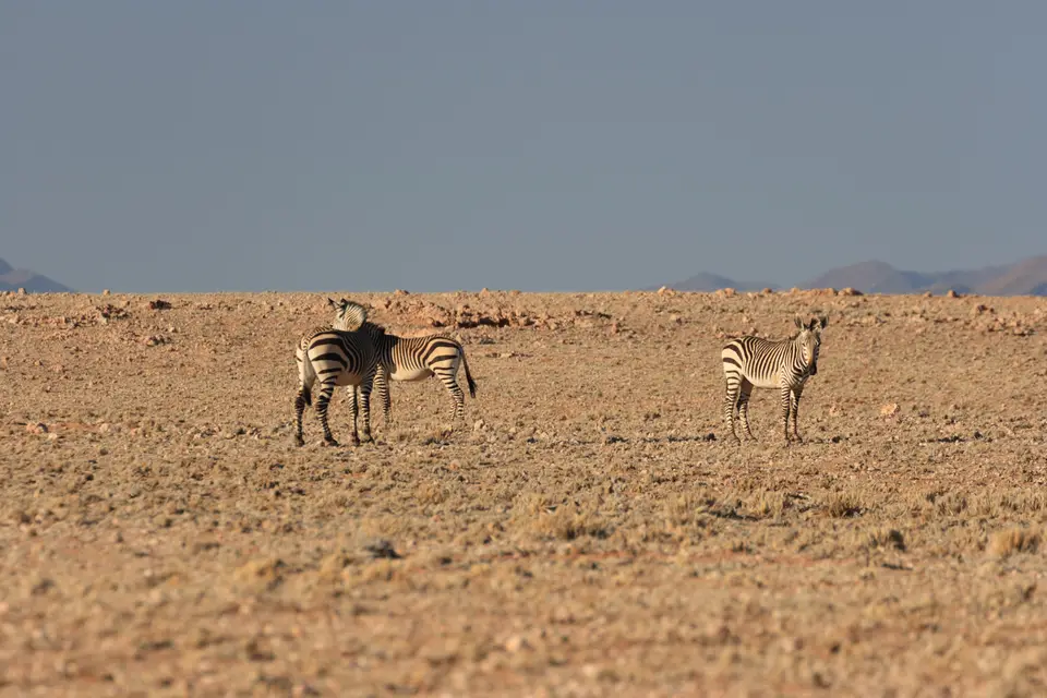 2016-Namibia-0190.jpg