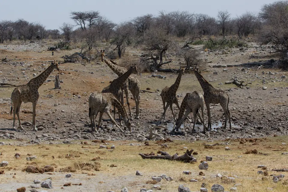 2016-Namibia-0301-2.jpg
