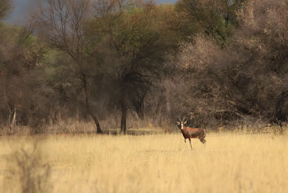 2016-Namibia-0566-1.jpg