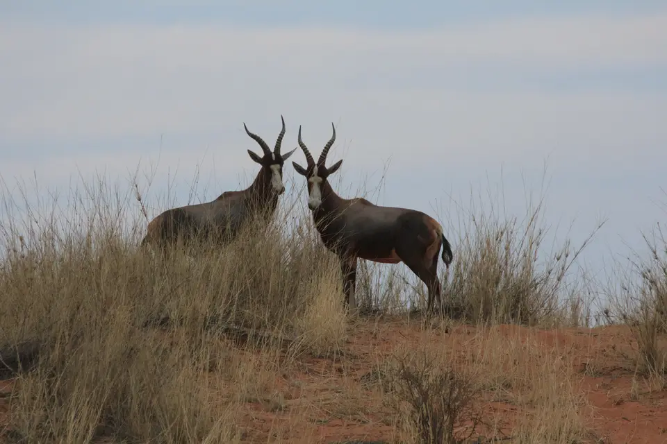 2016-Namibia-8961.jpg
