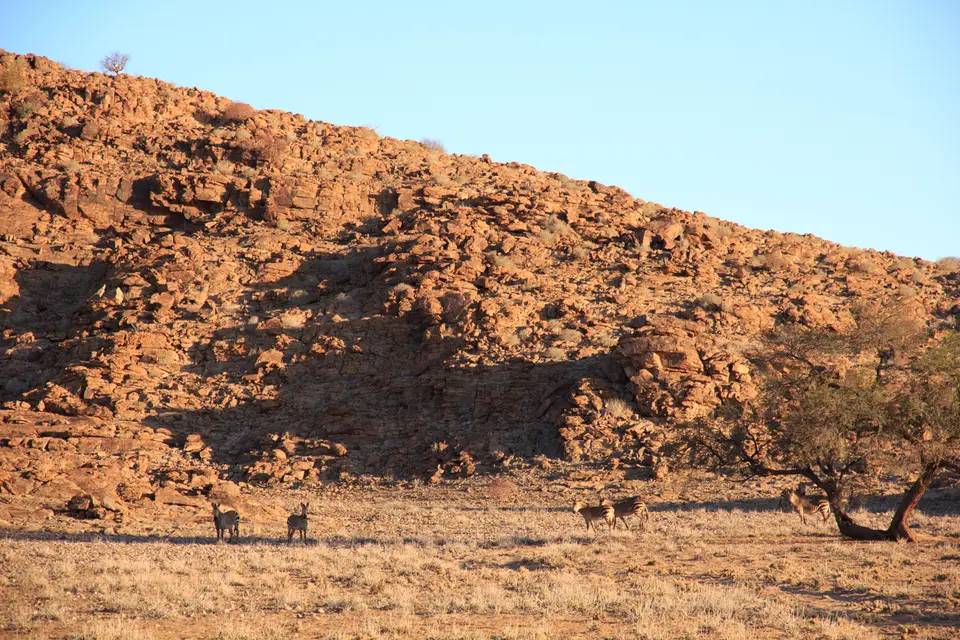 2016-Namibia-9166.jpg