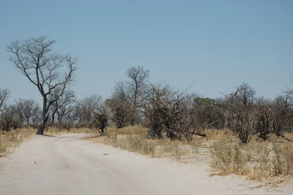 hb667484.jpg