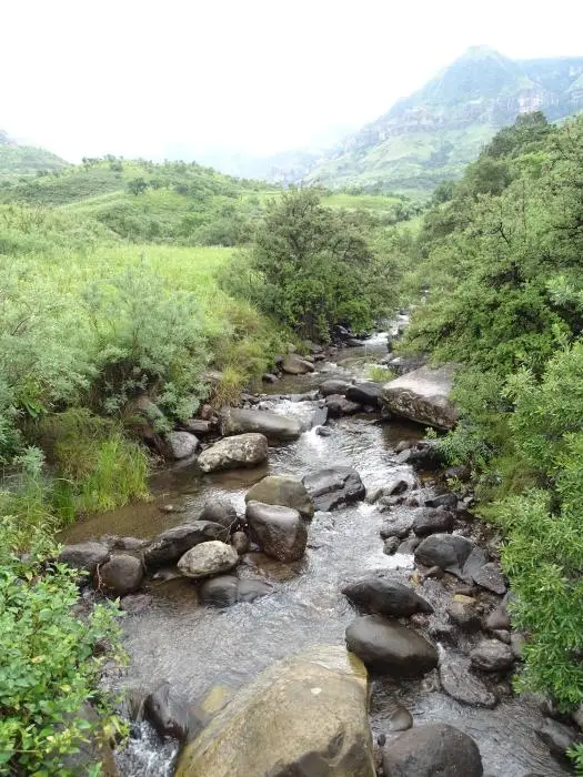 KZN10.12.jpg(106).jpg