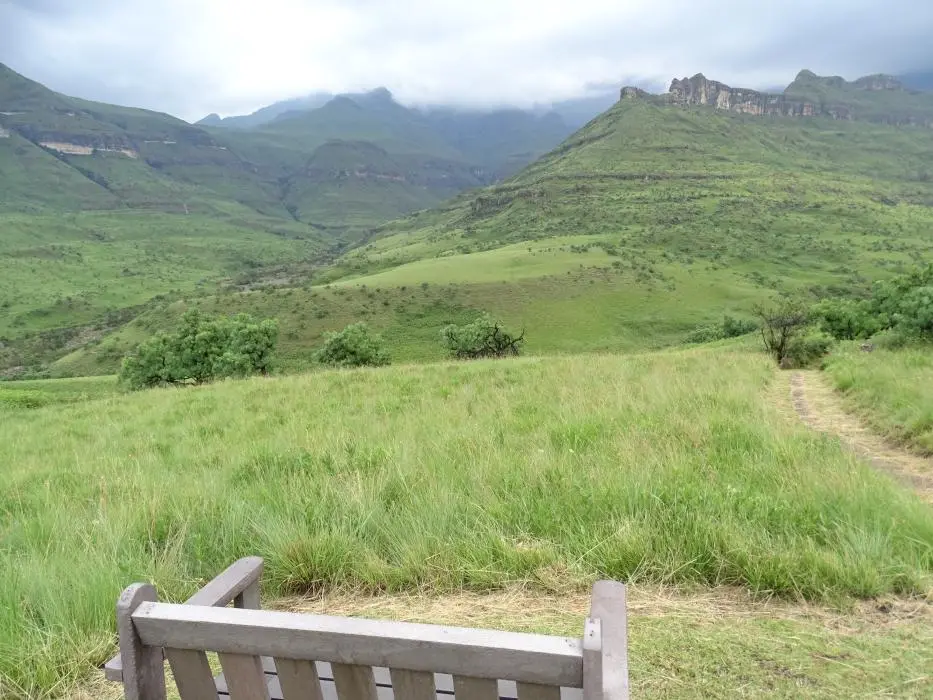 KZN10.12.jpg(108).jpg