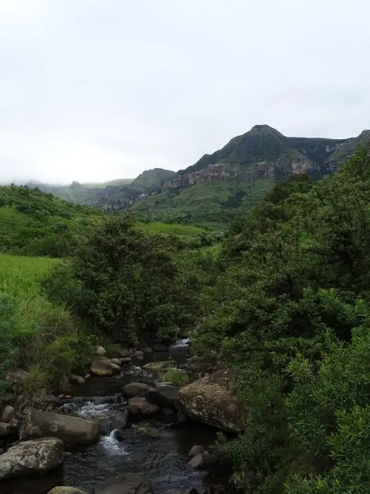 KZN10.12.jpg(18).jpg