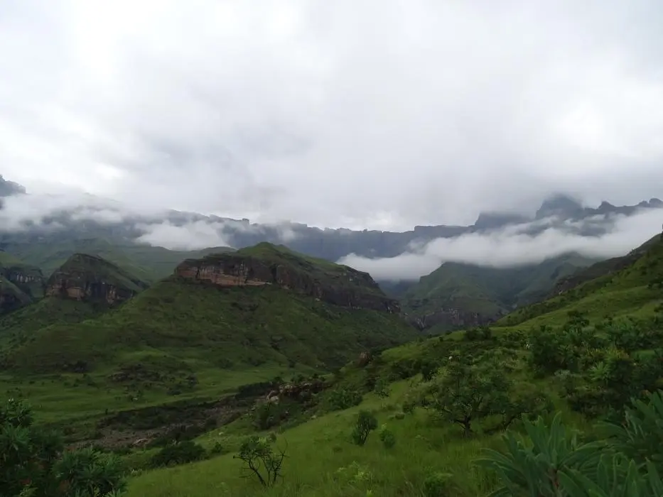 KZN10.12.jpg(29).jpg